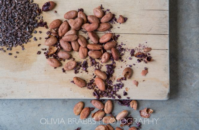 raw cacao beans flat lay photograph