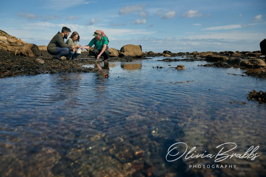 couple and guide foraging for seaweed on Yorkshire Coast